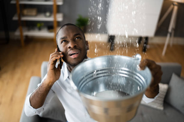 Best Water damage restoration near me  in West Haven, UT