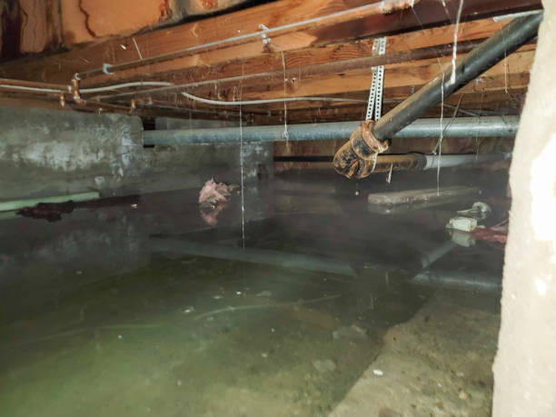 Best 24-hour water damage restoration  in West Haven, UT