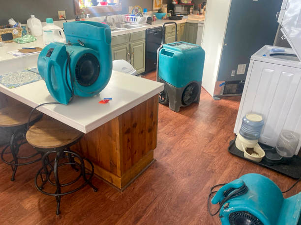 Best Carpet water damage restoration  in West Haven, UT
