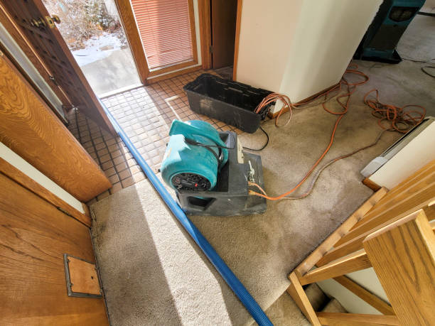 Best Water damage cleanup near me  in West Haven, UT