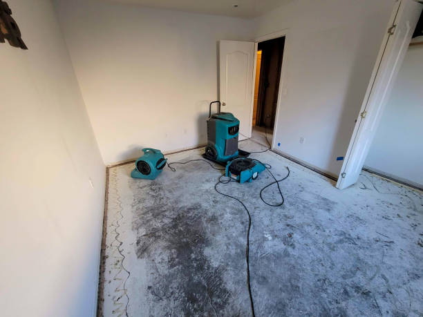 Best Flood restoration services  in West Haven, UT