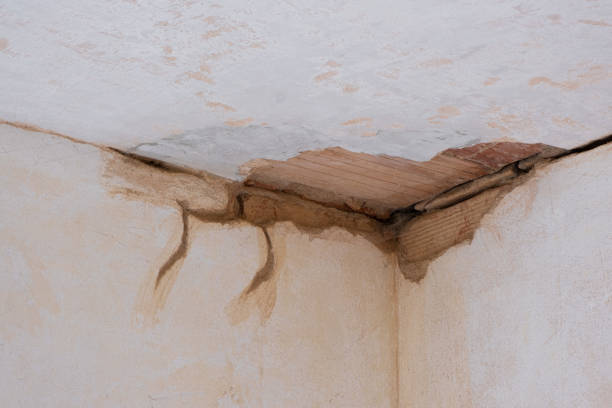 Professional Water damage restoration in West Haven, UT
