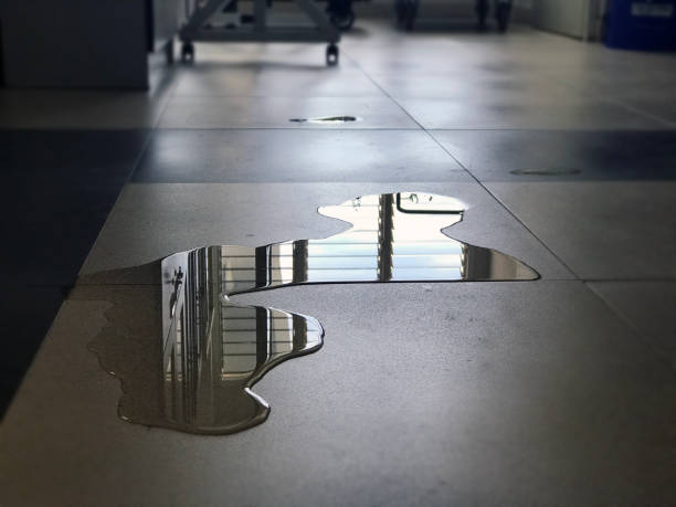 Best 24/7 water damage repair  in West Haven, UT