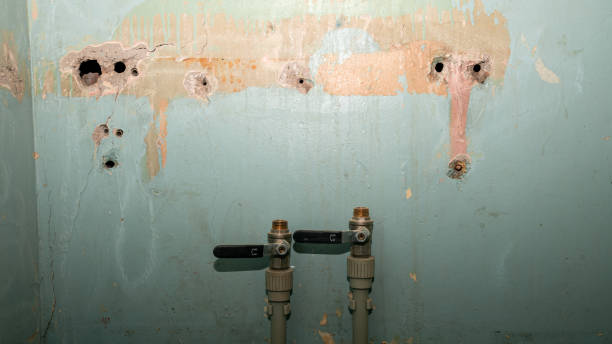 Best Water damage restoration specialists  in West Haven, UT