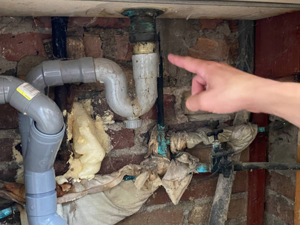 Best Flood damage cleanup  in West Haven, UT