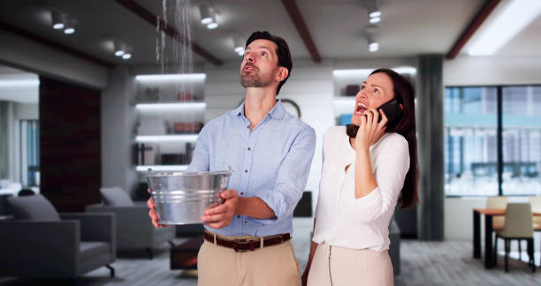 Best Professional water damage repair  in West Haven, UT
